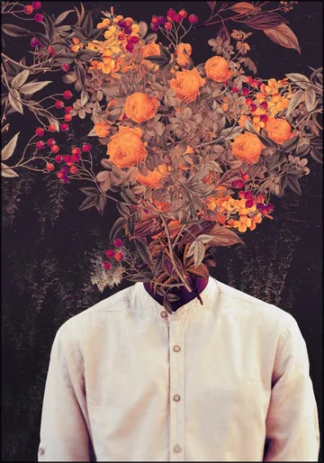 Bloom