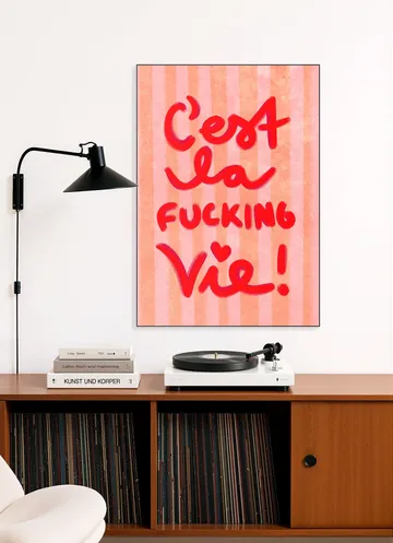 La Fucking Vie