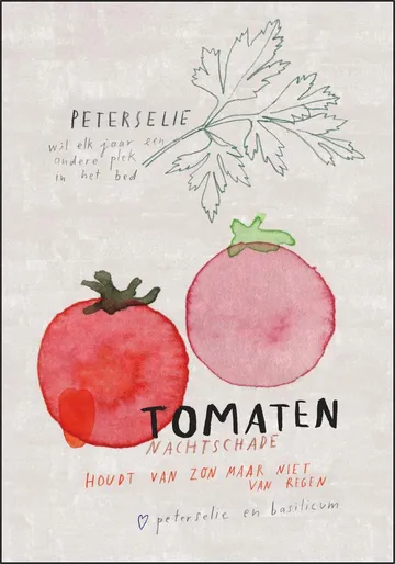 Tomaten NL