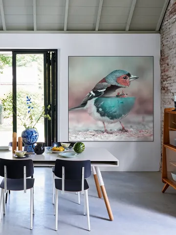 Aqua Birdy