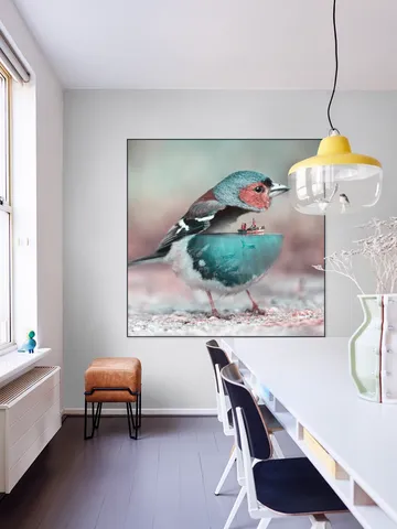 Aqua Birdy