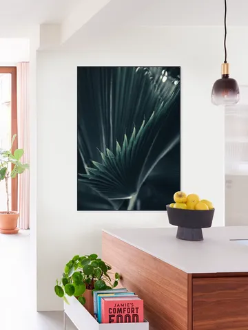 Palm Shade 1