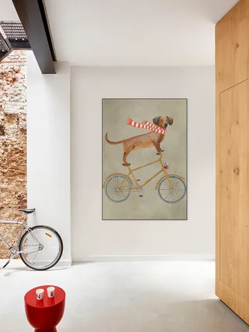 Dachshund on bicycle with scarf
