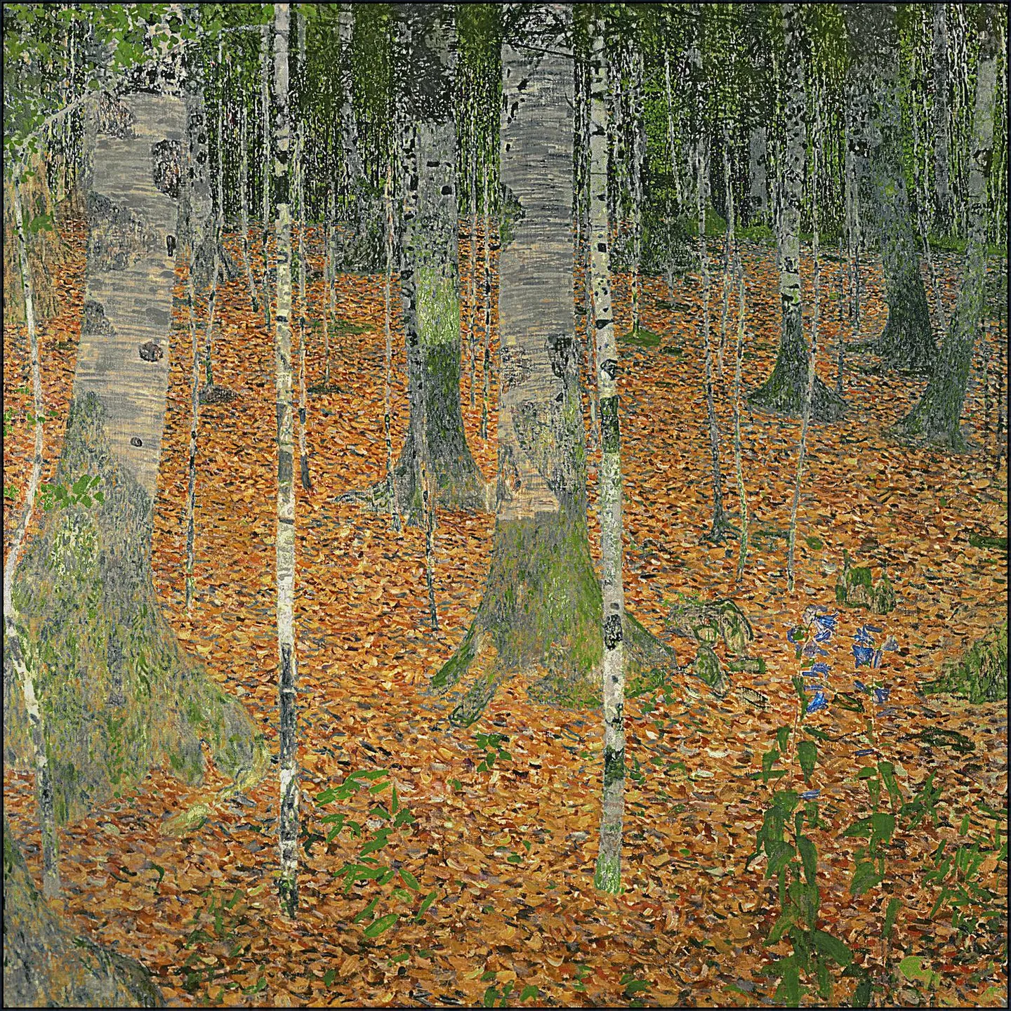 The Birch Wood