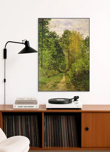 Wooded Path