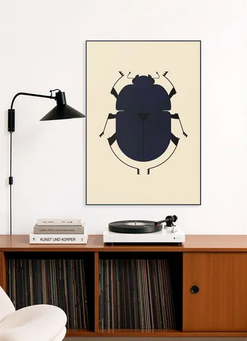 The Dung Beetle