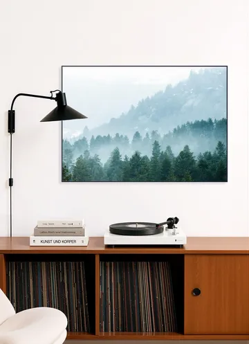 Foggy Evergreen Forest In The Mountains