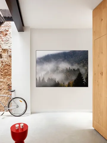 Foggy Woods 9
