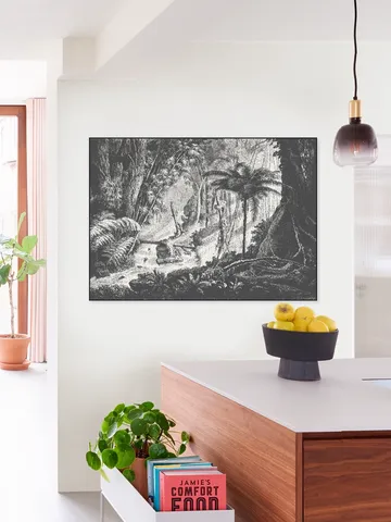 Brazilian Jungle