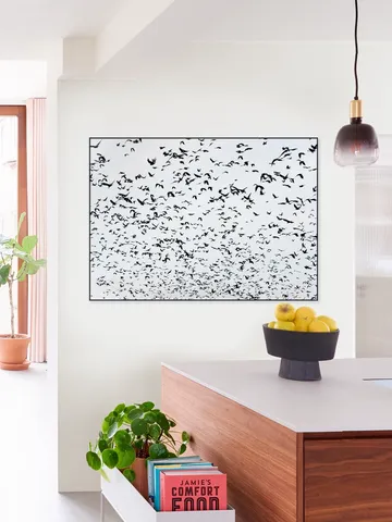 999 Birds