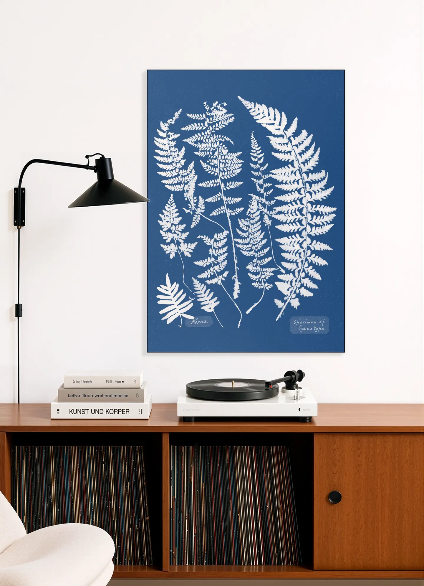 Specimen of Cyanotype - Ferns