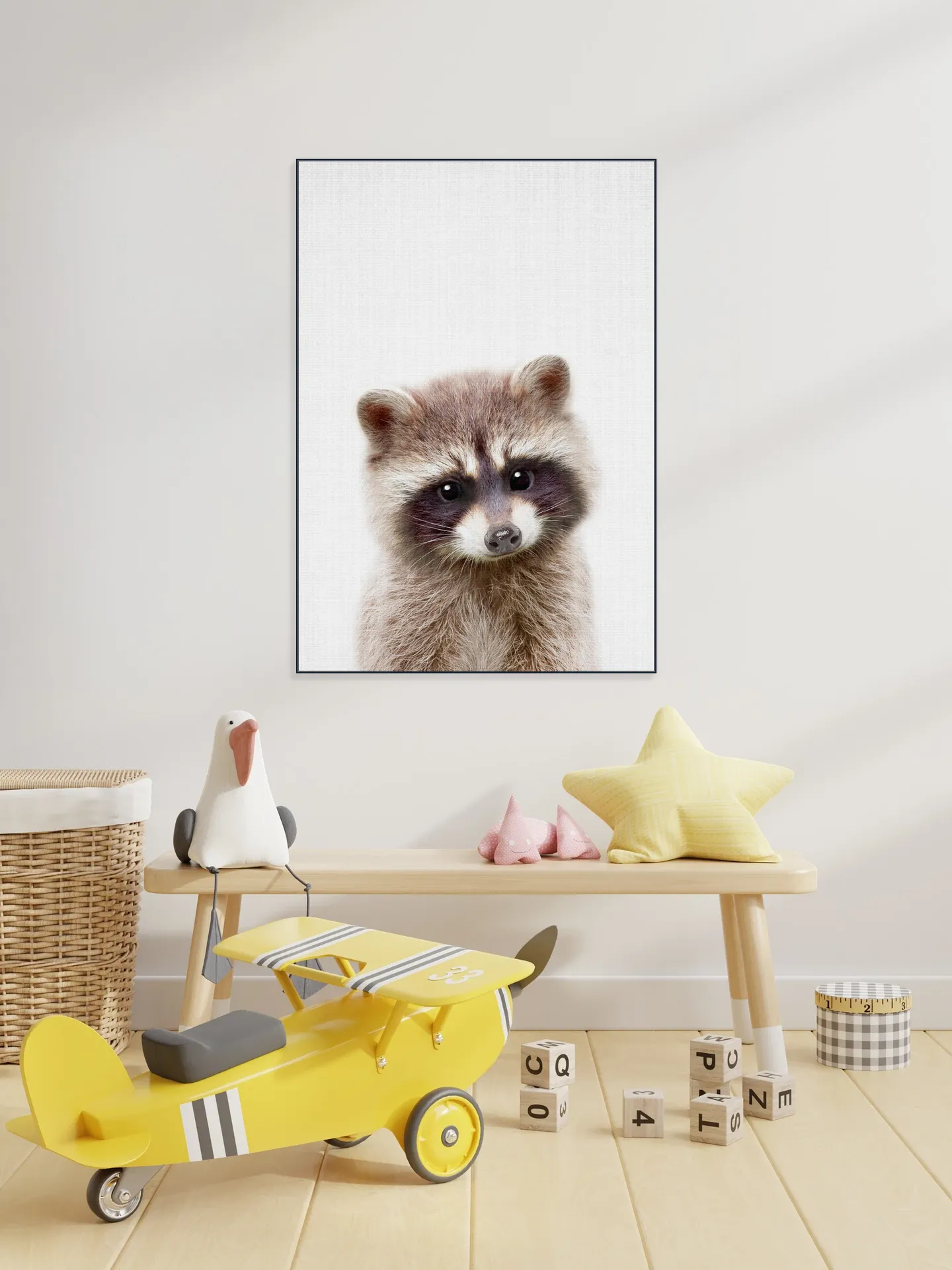 Raccoon