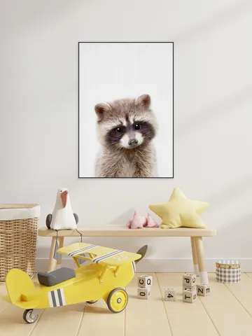 Raccoon