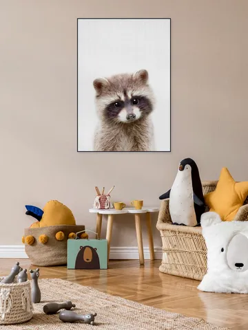 Raccoon