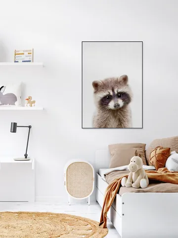 Raccoon