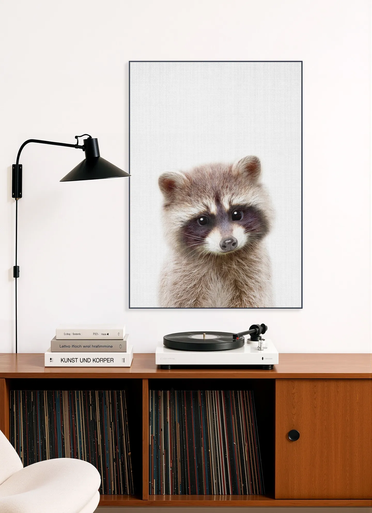 Raccoon
