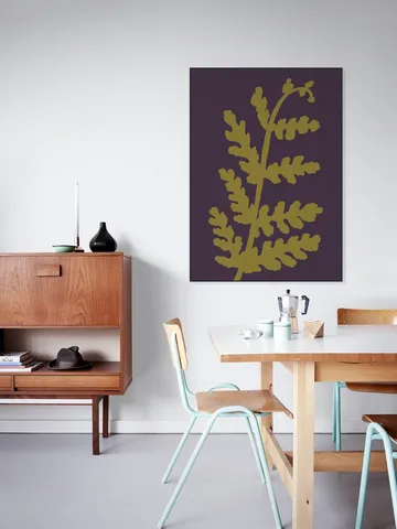 Fern