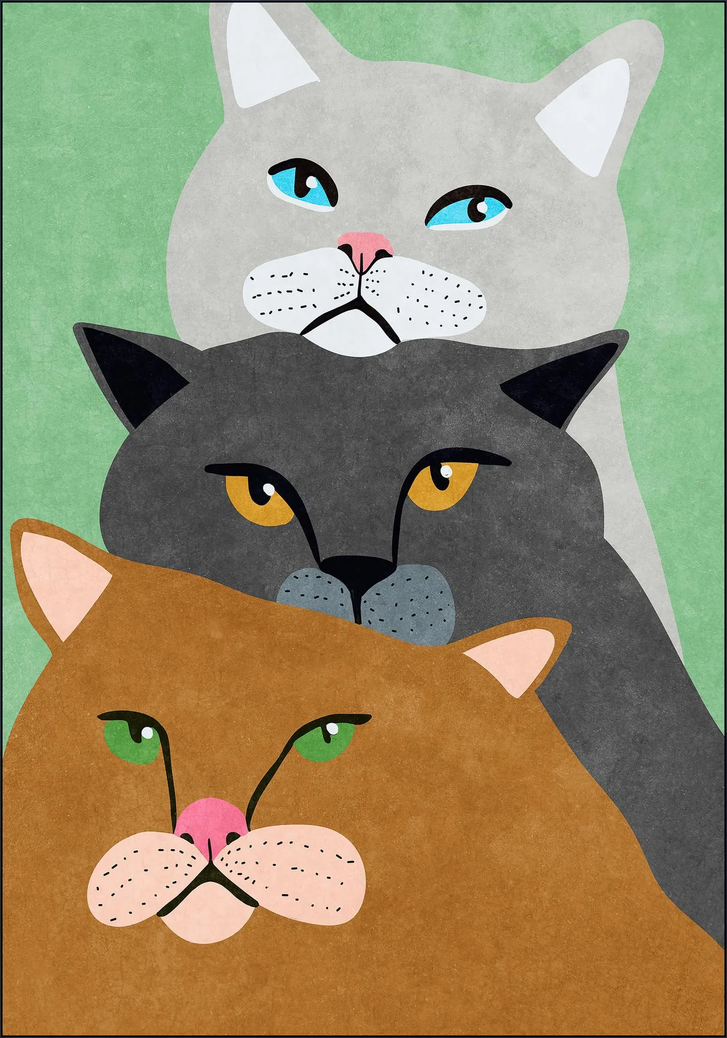 Cats Trio