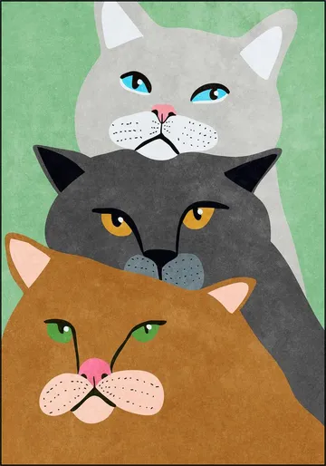 Cats Trio