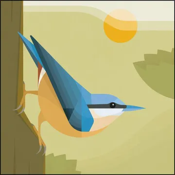 Nuthatch