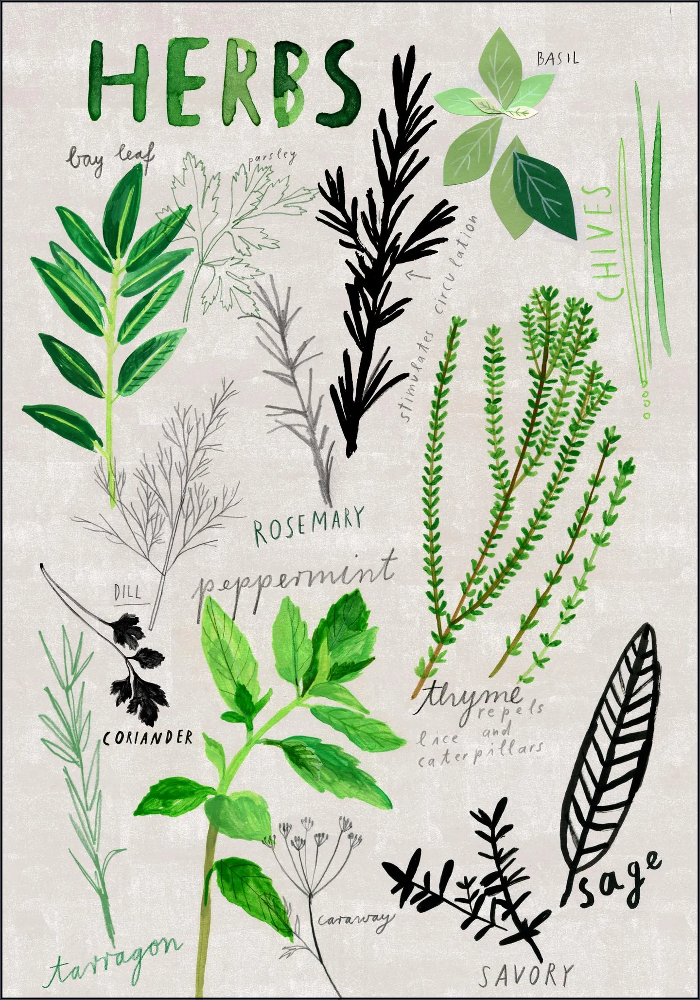 Herbs
