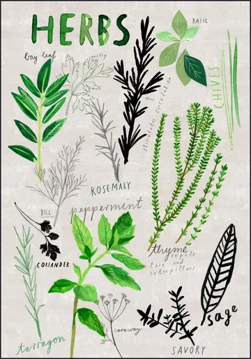 Herbs