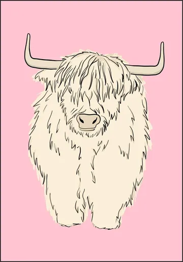 Pink Highland Cow