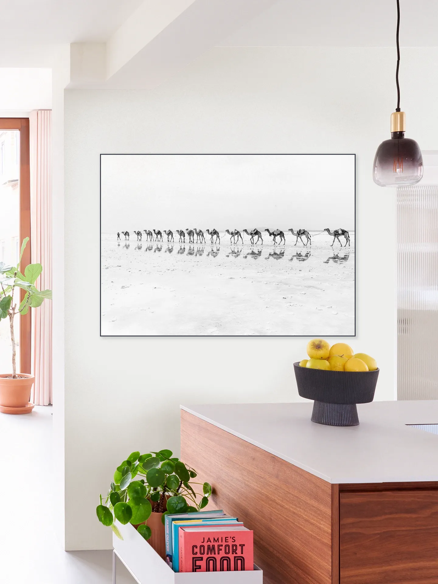 Salt Transport with Camels