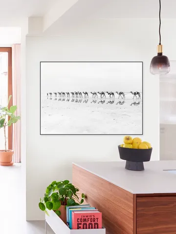 Salt Transport with Camels