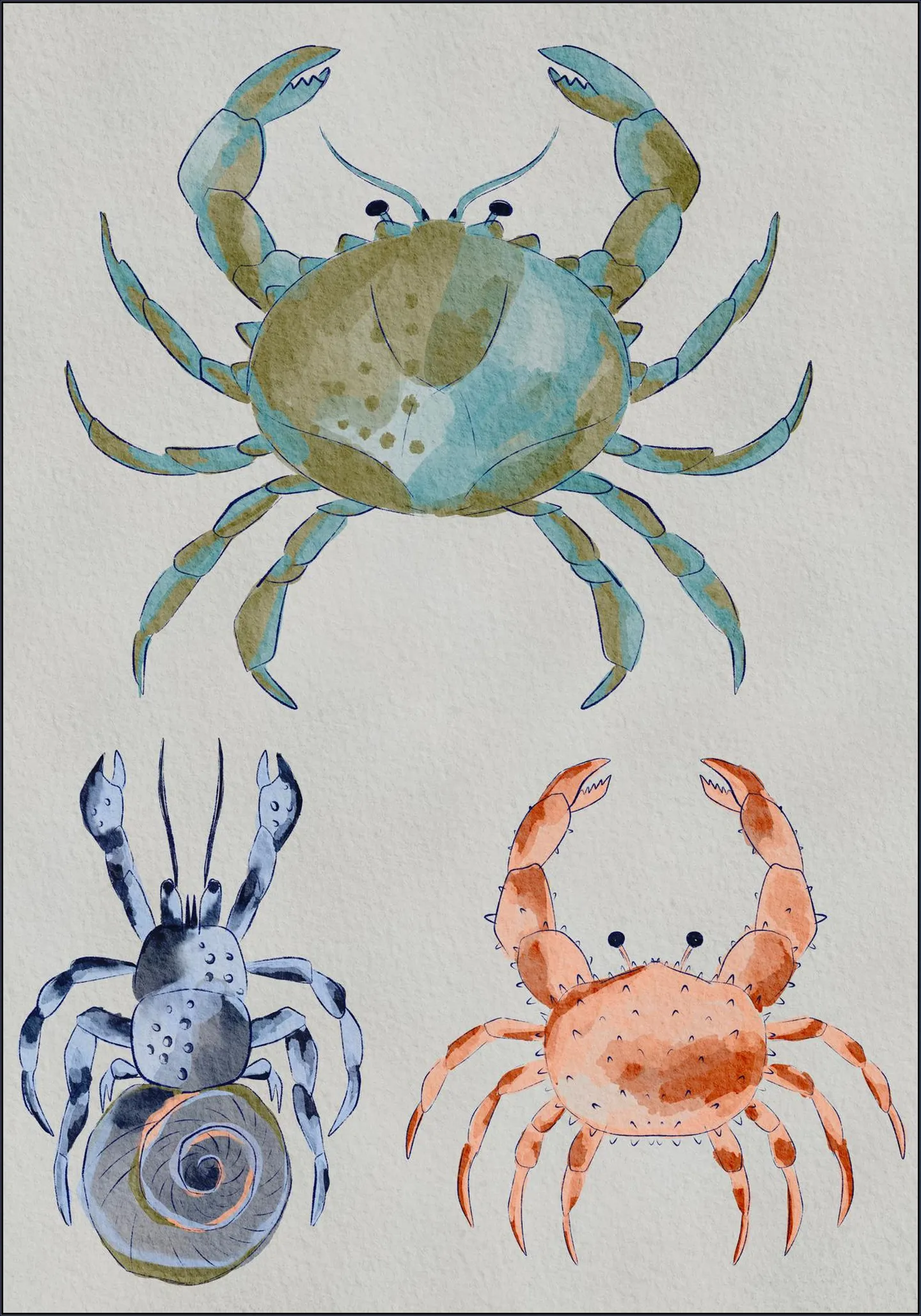 Ocean Crabs Watercolor