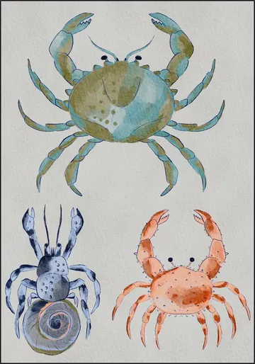Ocean Crabs Watercolor