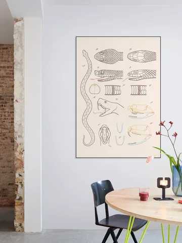 Serpent - Anatomie