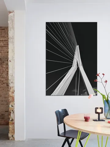 Erasmus Bridge