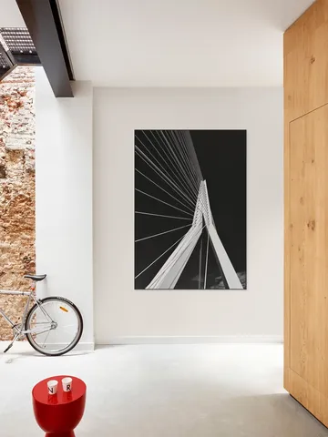 Erasmus Bridge