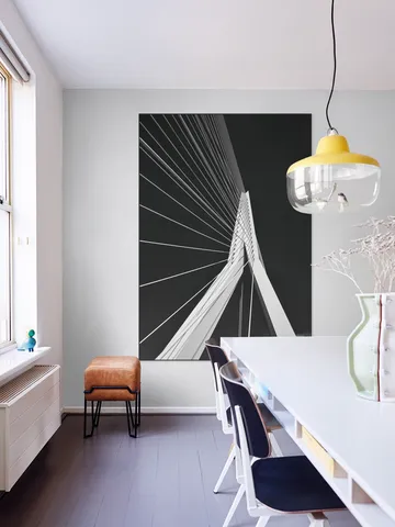 Erasmus Bridge