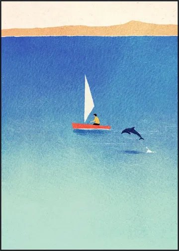 My Dolphin Friend