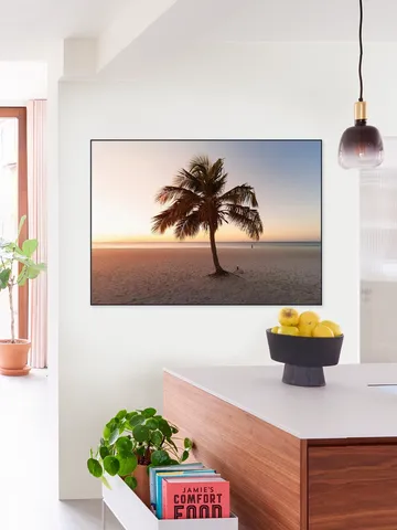 Summer Vibes Palm