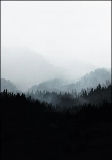 Woods 5Y