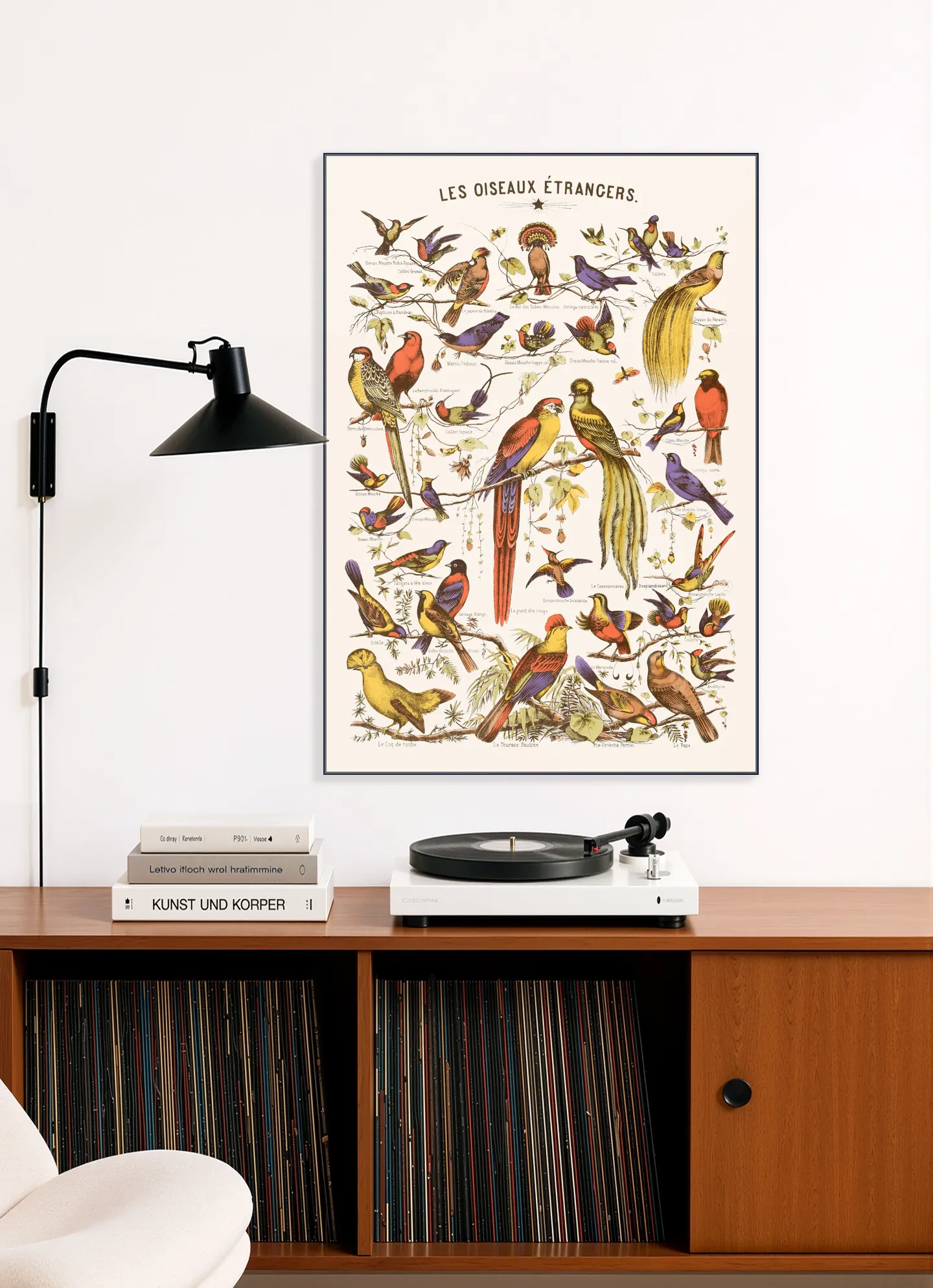 Les Oiseaux Etrangers