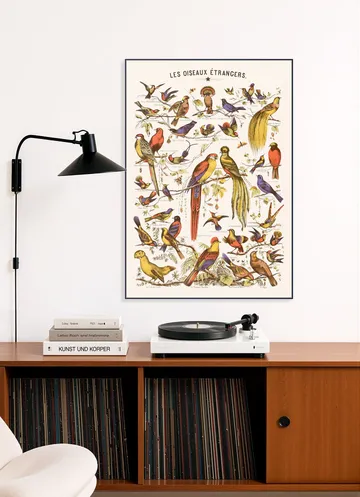 Les Oiseaux Etrangers