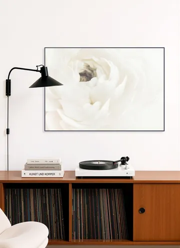 White Flower 02