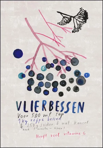 Vlierbessen