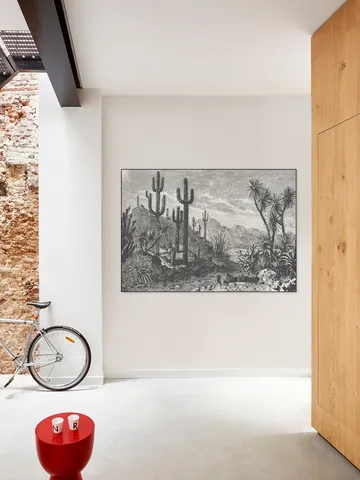 Cactuses in Mountains