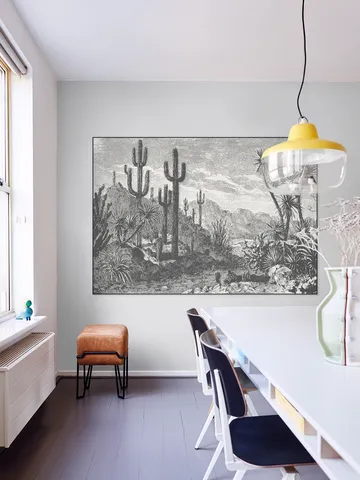 Cactuses in Mountains