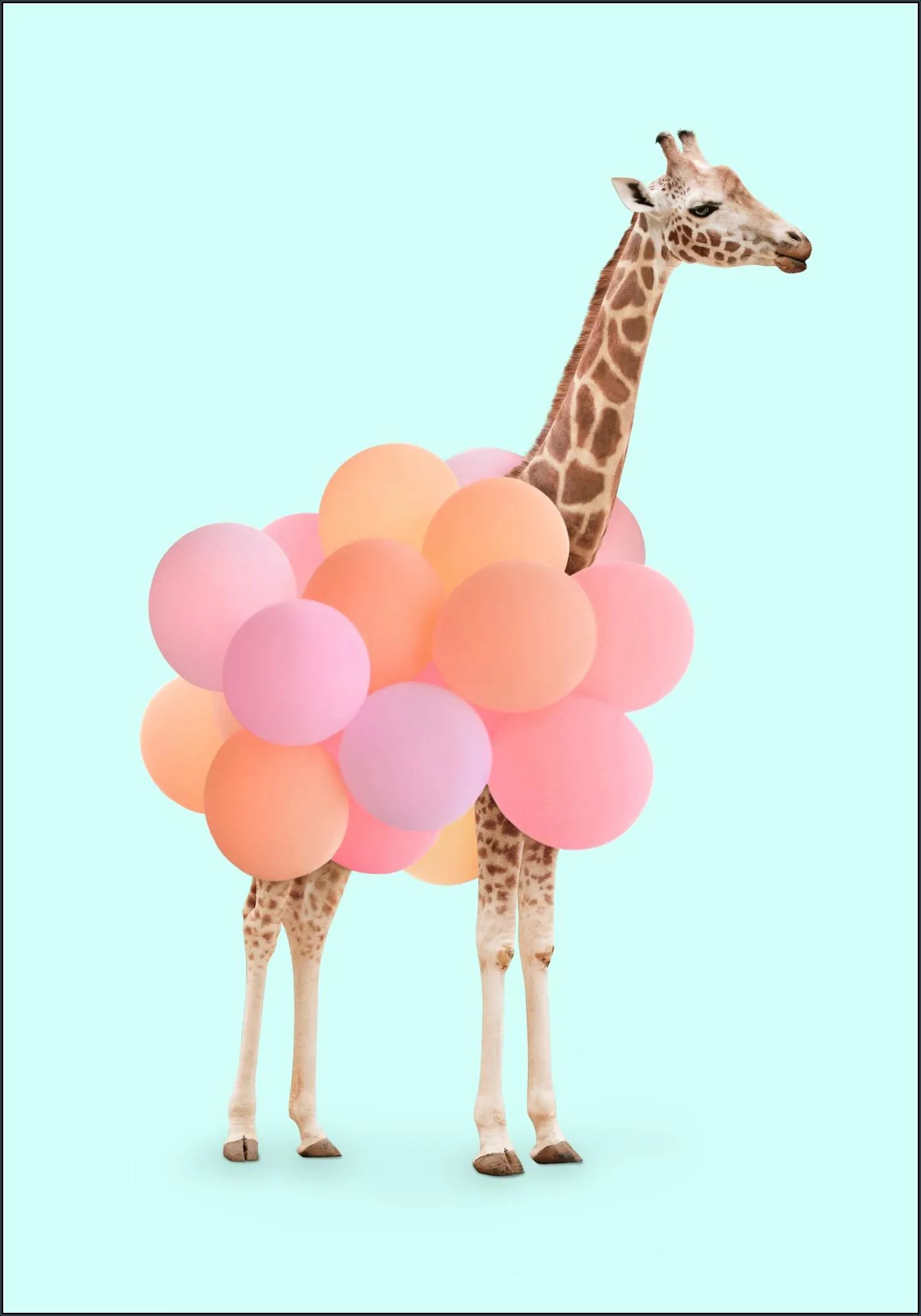 Party Giraffe
