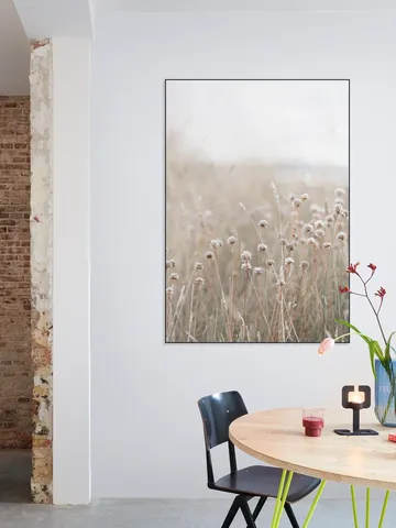 Coastal Flowers