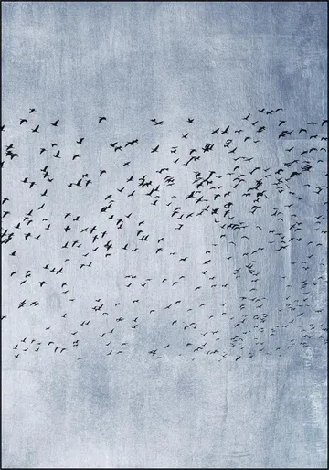 Moving On - Blue 