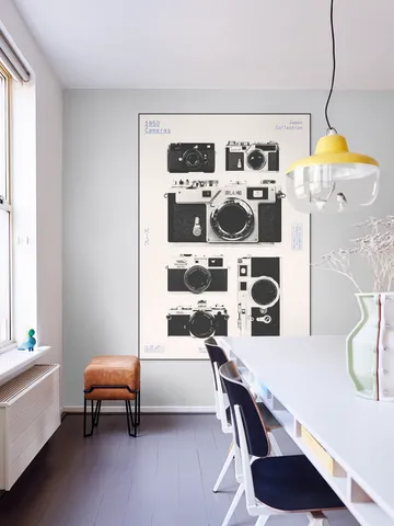 Cameras
