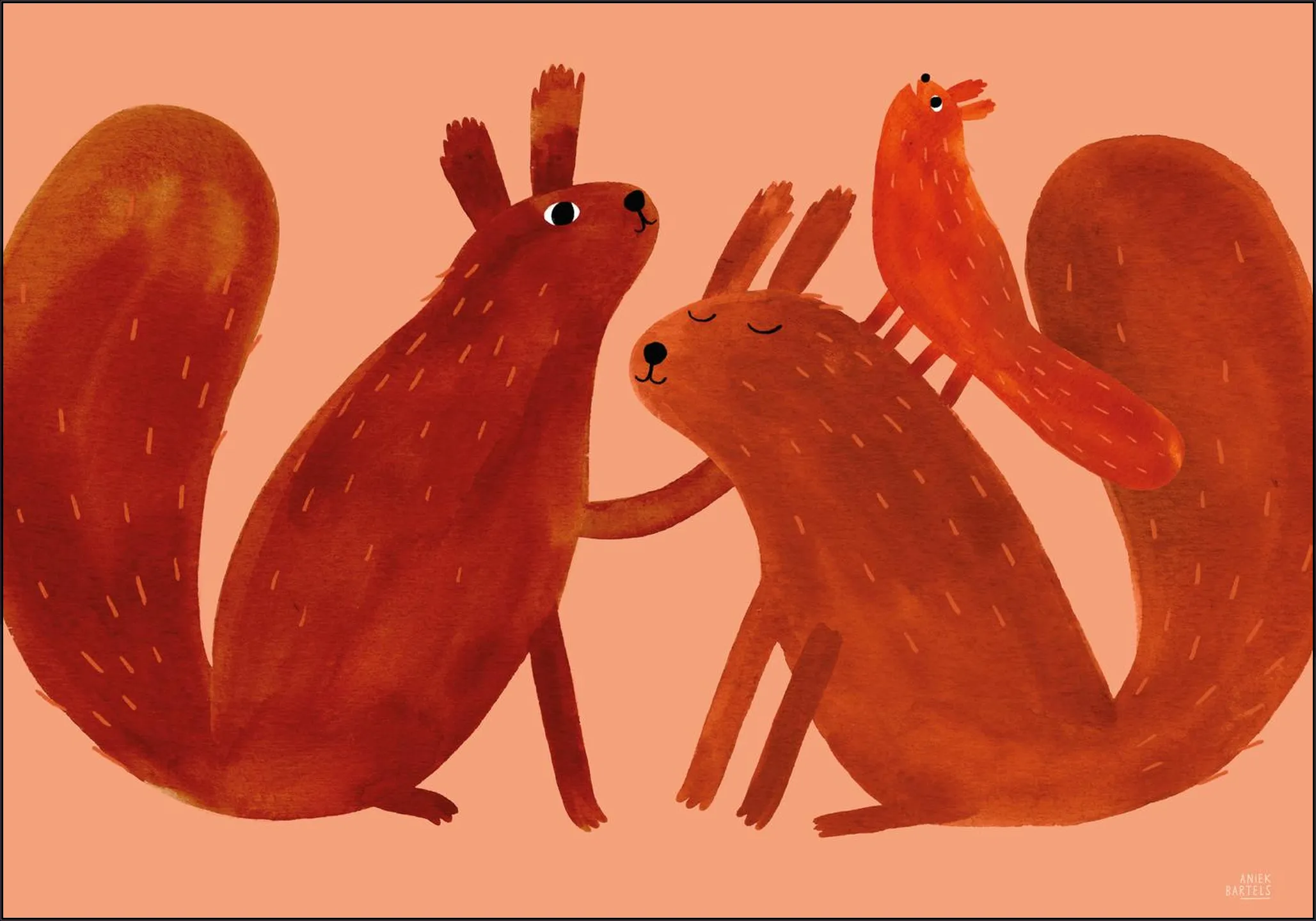 Squirrel Family