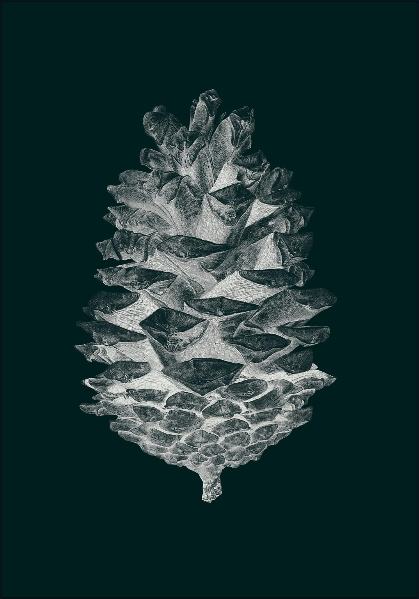 Pine Cone dark